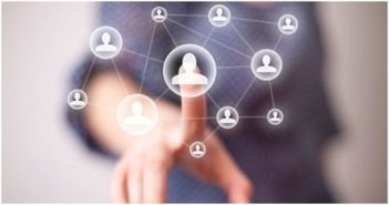 致互聯(lián)網(wǎng)人 深入解析網(wǎng)絡(luò)技術(shù)開(kāi)發(fā)職位架構(gòu)與職能要求